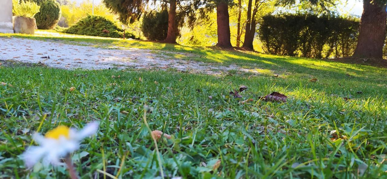 Green House Next - Lovely Apartment For Family And Free Parking Levico Terme Exterior photo